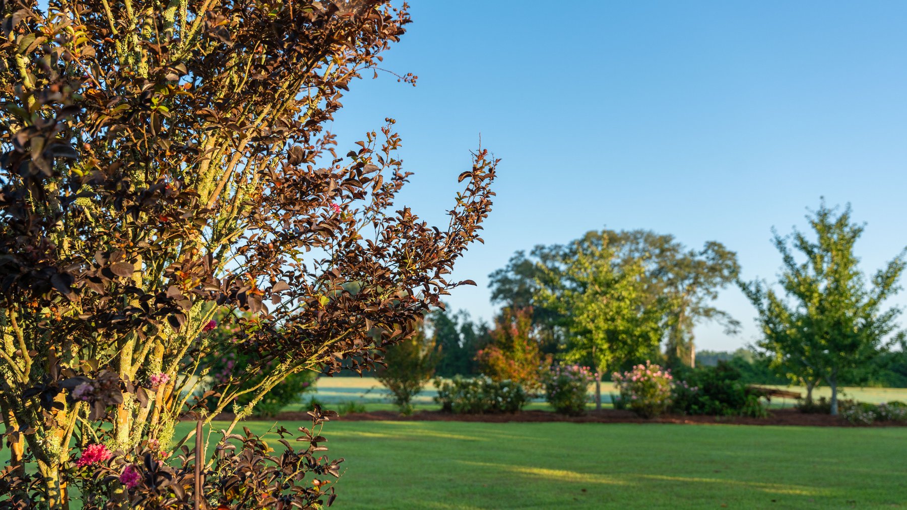 Image for The Massee Post Estate - 72+/- Acres with 6,700+/- Sq. Ft. Luxury Home in Cook County, Georgia