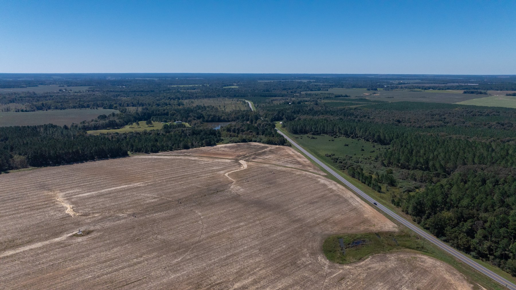 Image for 95+/- Acres - Musgrove Estate - Planted Pine Timber Investment - Sportsman's Paradise