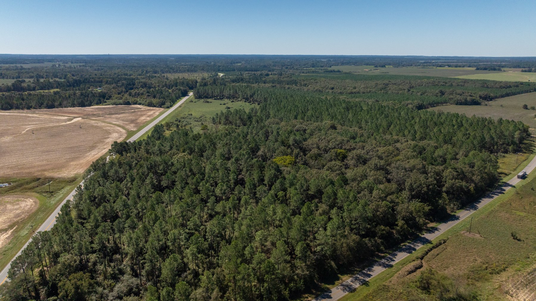 Image for 95+/- Acres - Musgrove Estate - Planted Pine Timber Investment - Sportsman's Paradise