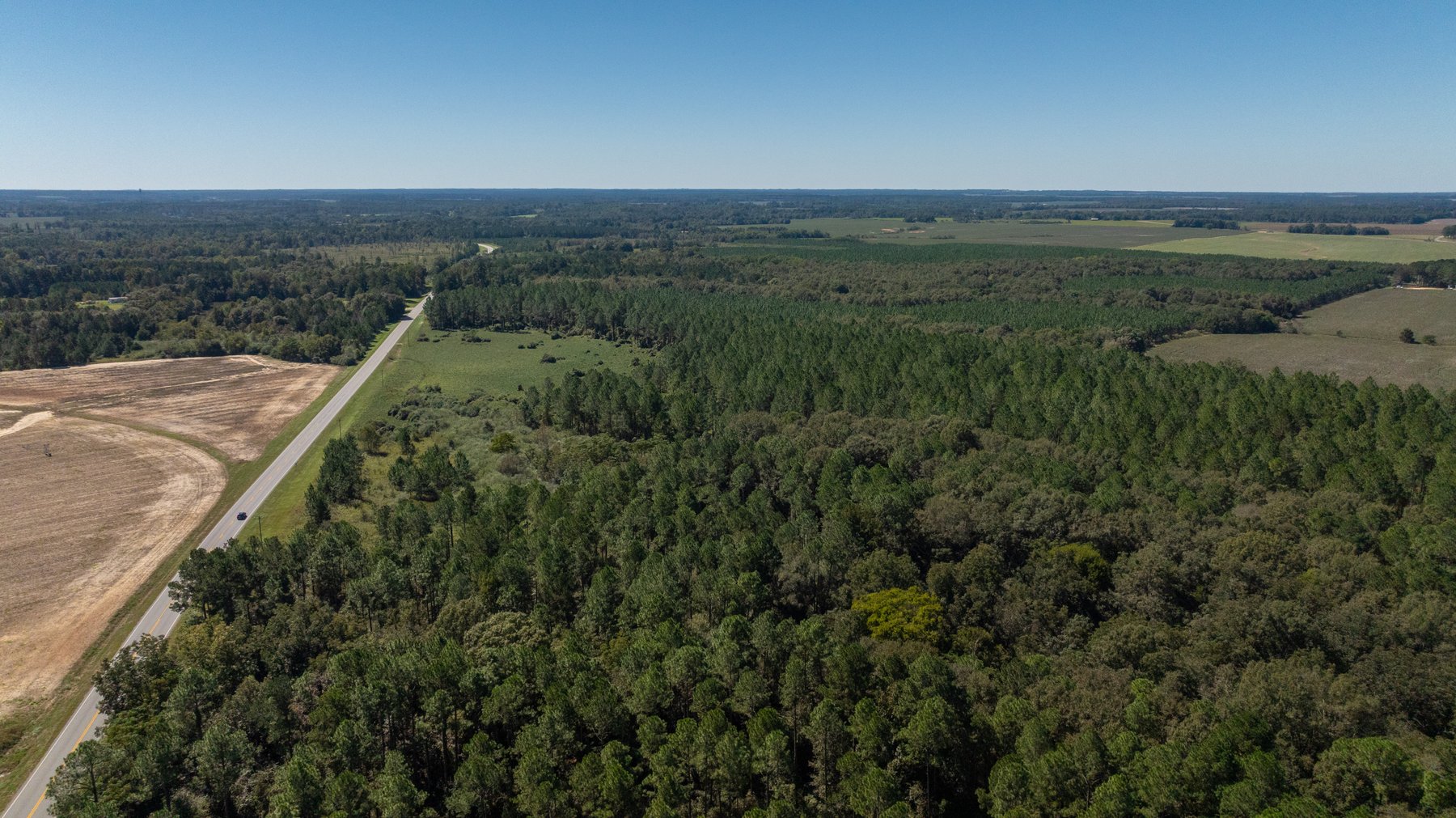 Image for 95+/- Acres - Musgrove Estate - Planted Pine Timber Investment - Sportsman's Paradise