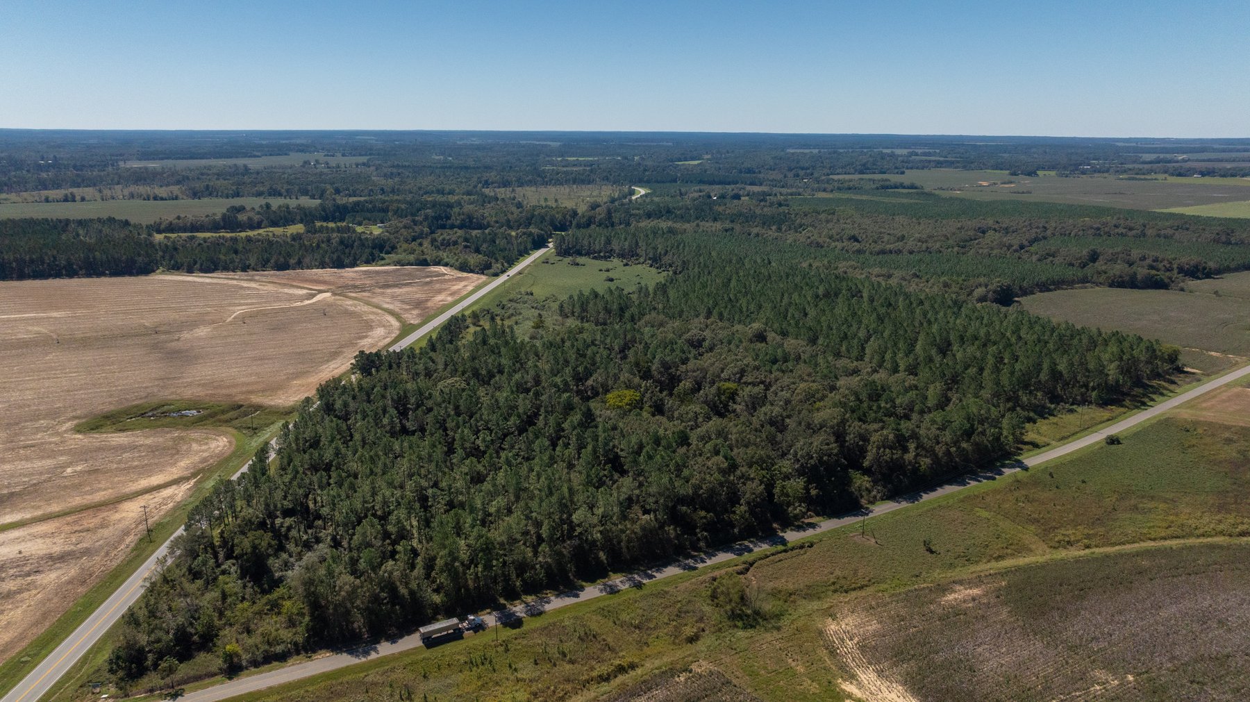 Image for 95+/- Acres - Musgrove Estate - Planted Pine Timber Investment - Sportsman's Paradise