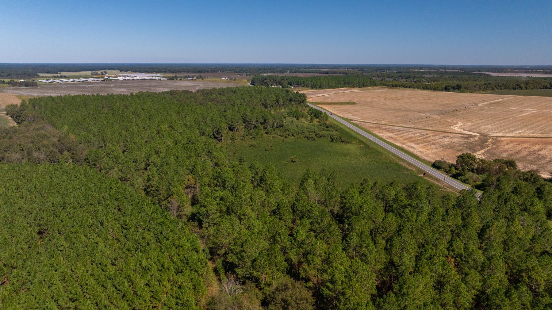 Image for 95+/- Acres - Musgrove Estate - Planted Pine Timber Investment - Sportsman's Paradise
