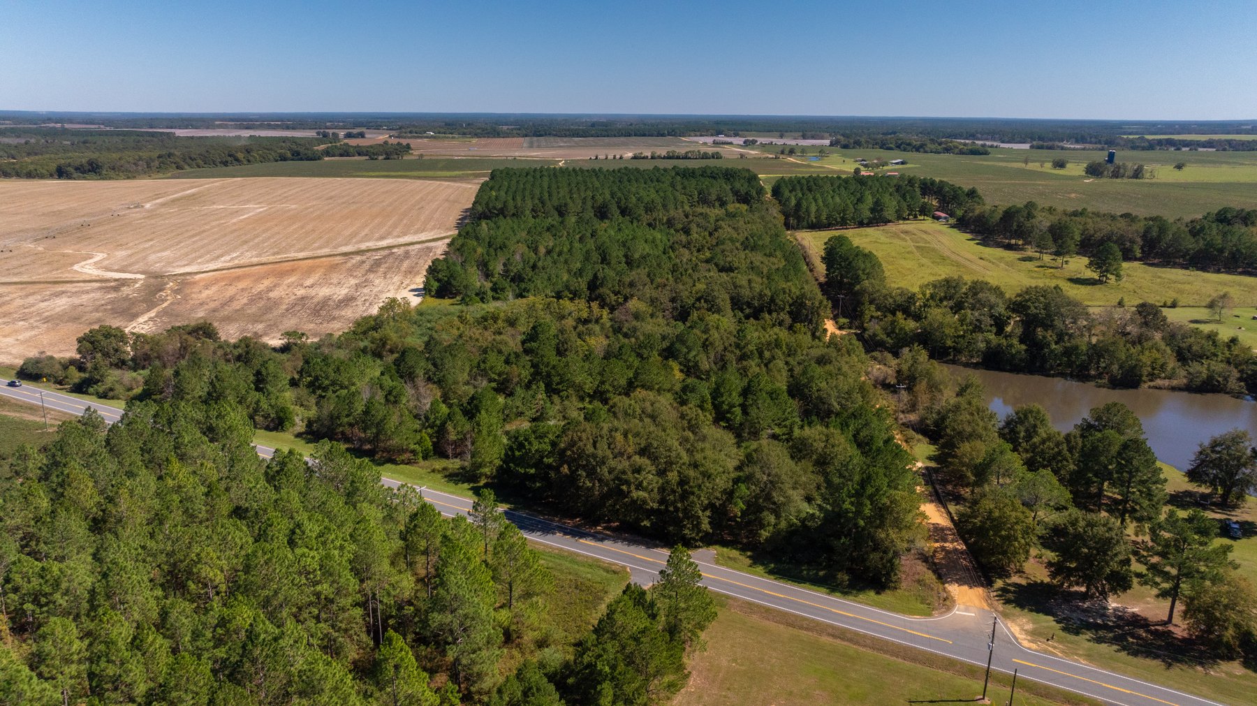 Image for 95+/- Acres - Musgrove Estate - Planted Pine Timber Investment - Sportsman's Paradise