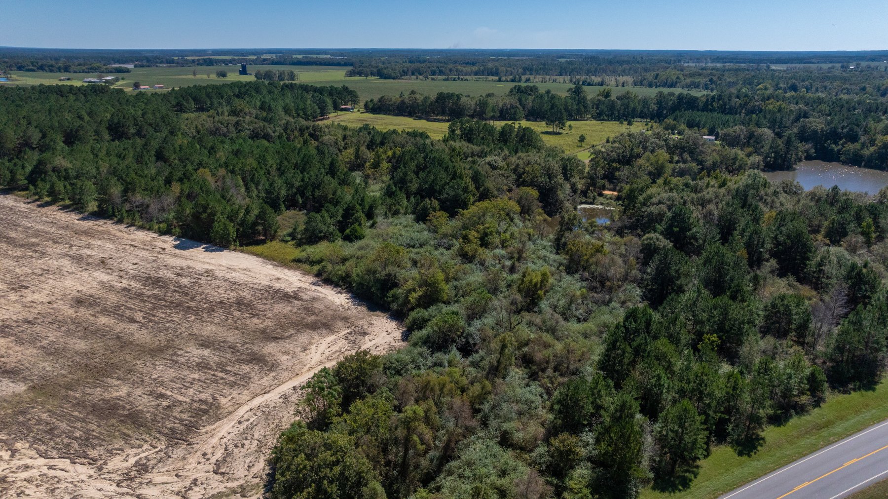 Image for 95+/- Acres - Musgrove Estate - Planted Pine Timber Investment - Sportsman's Paradise