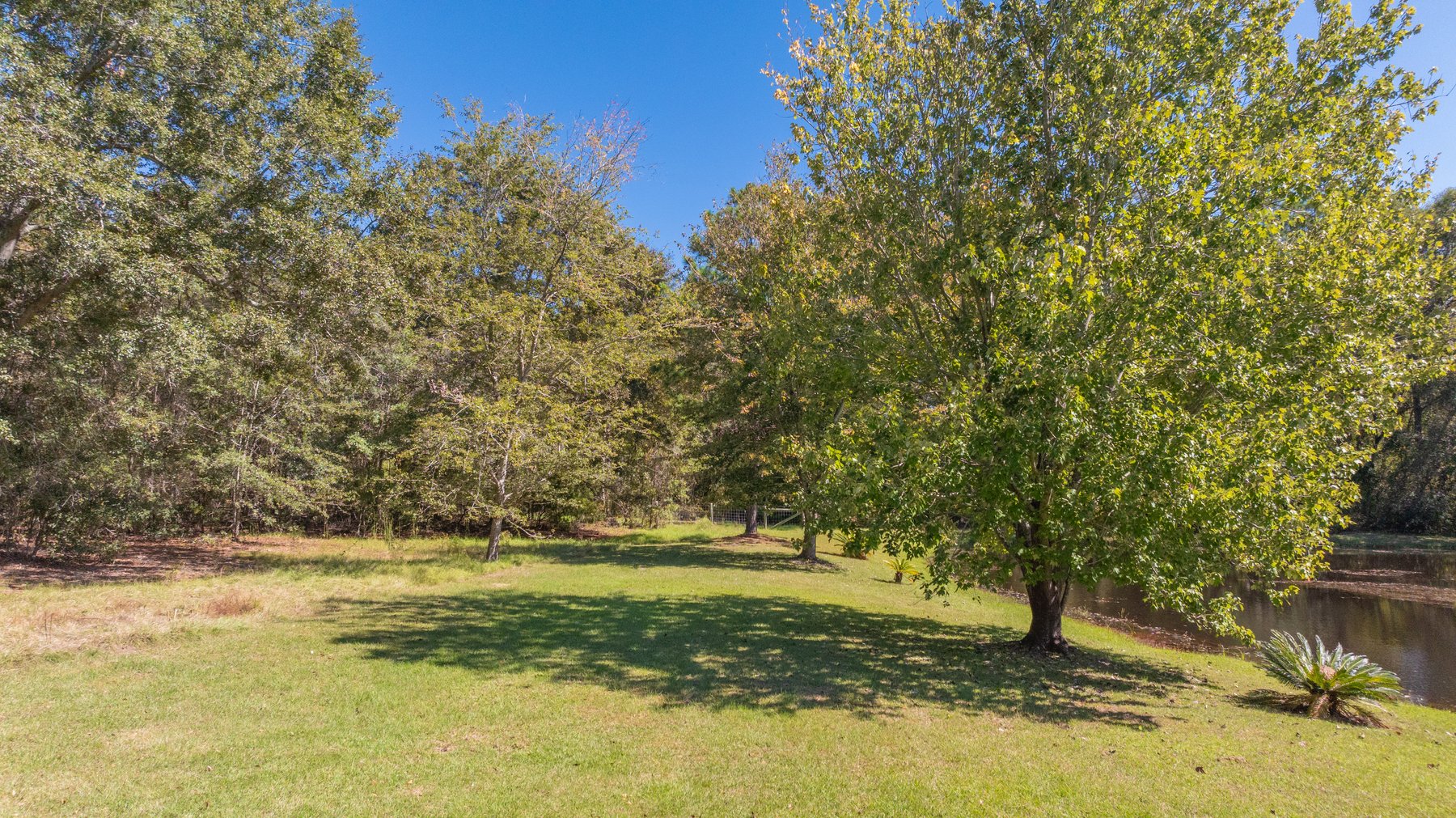 Image for Carolyn A. Peace Living Estate - Beautiful Stone-Faced Wood-Siding Ranch-Style Home