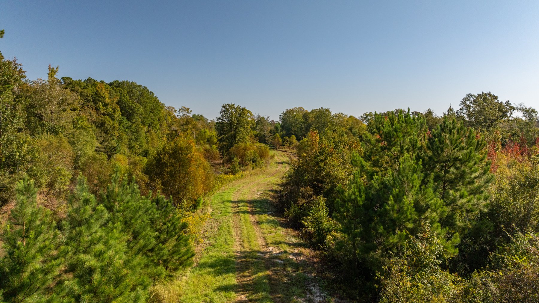 Image for The Hinson Farm – 191+/- Acres - Recreational Paradise with Income-Producing Potential in Dodge County, GA