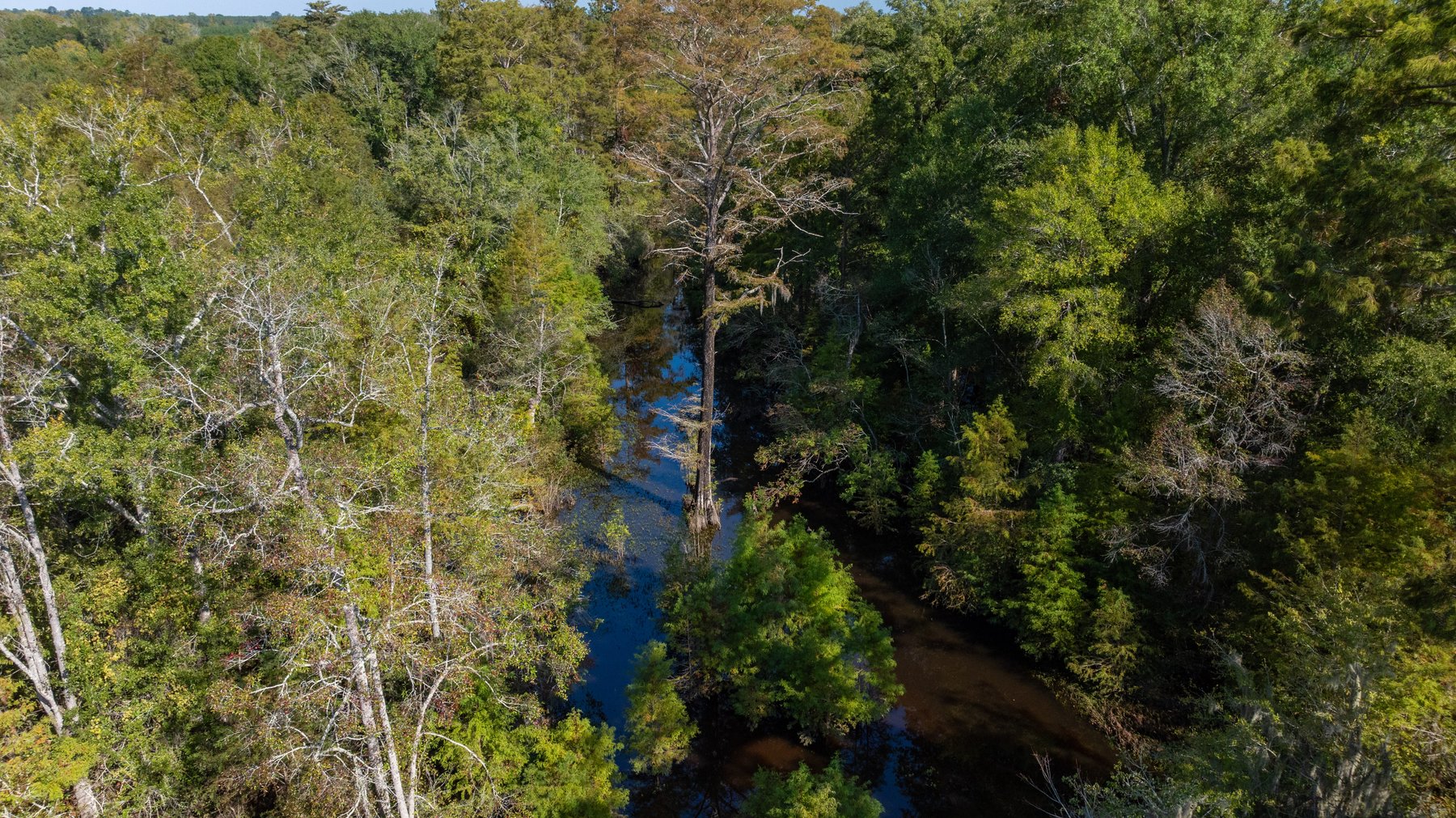 Image for The Hinson Farm – 191+/- Acres - Recreational Paradise with Income-Producing Potential in Dodge County, GA