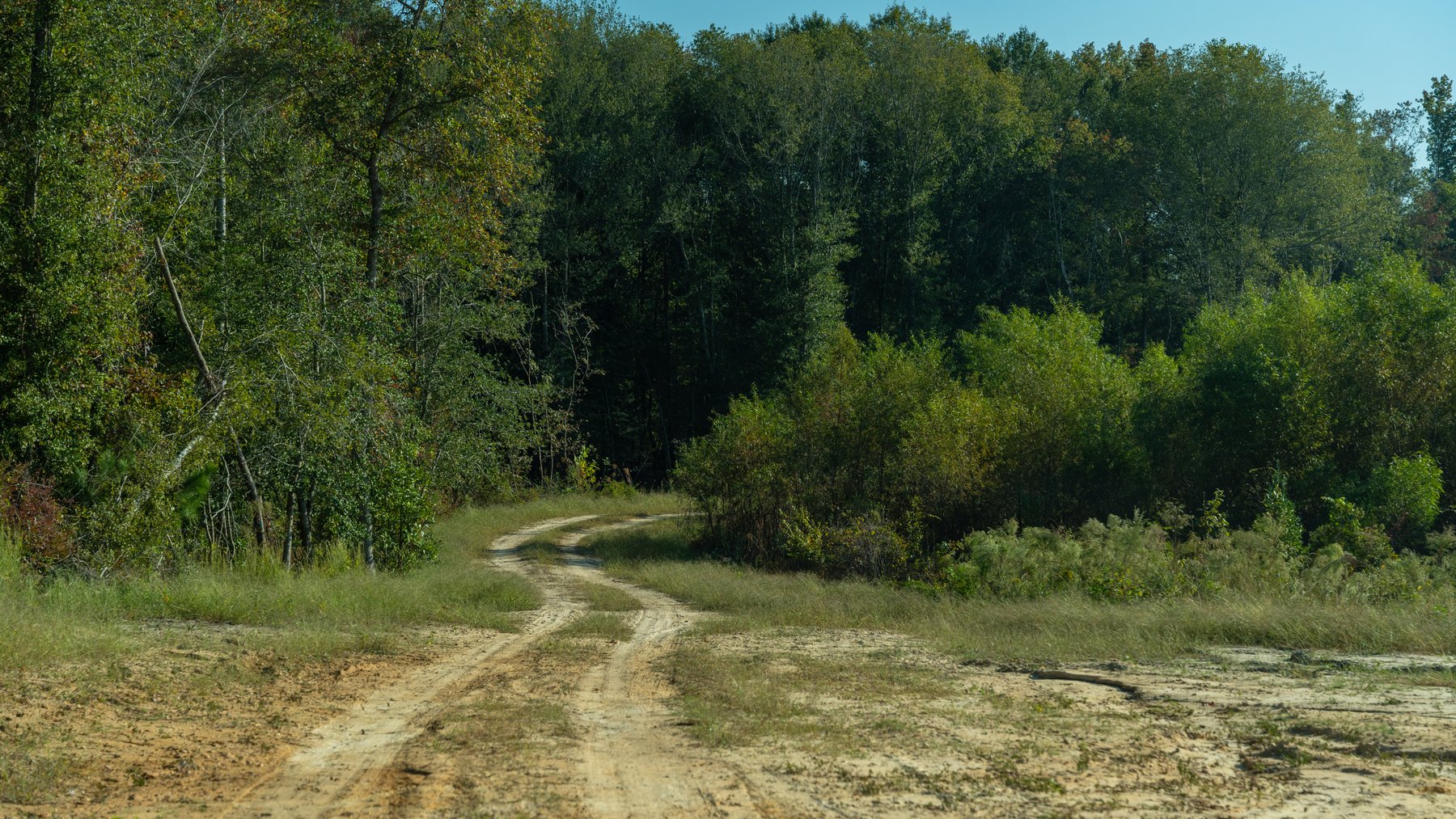 Image for The Hinson Farm – 191+/- Acres - Recreational Paradise with Income-Producing Potential in Dodge County, GA