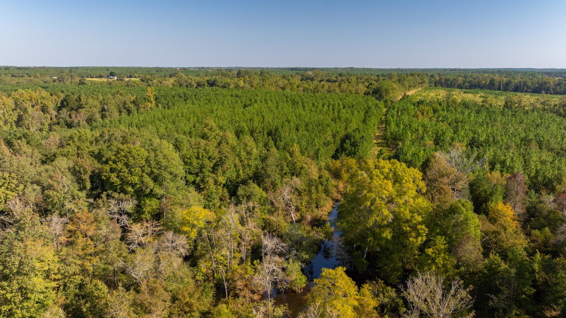 Image for The Hinson Farm – 191+/- Acres - Recreational Paradise with Income-Producing Potential in Dodge County, GA