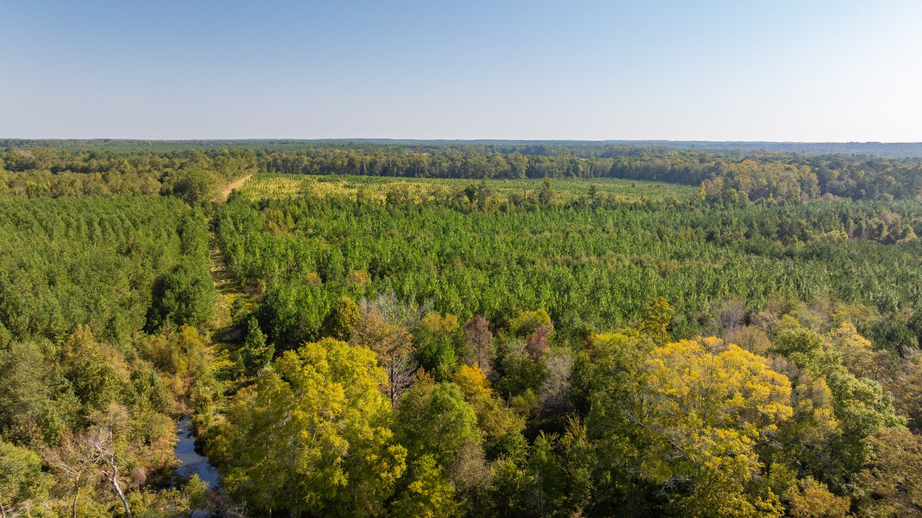 Image for The Hinson Farm – 191+/- Acres - Recreational Paradise with Income-Producing Potential in Dodge County, GA
