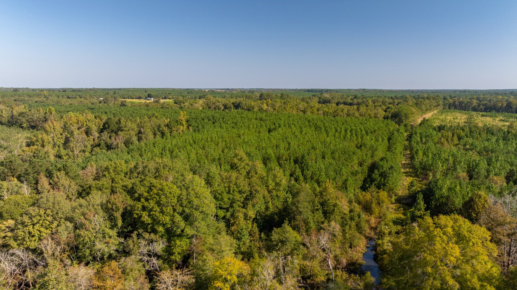 Image for The Hinson Farm – 191+/- Acres - Recreational Paradise with Income-Producing Potential in Dodge County, GA