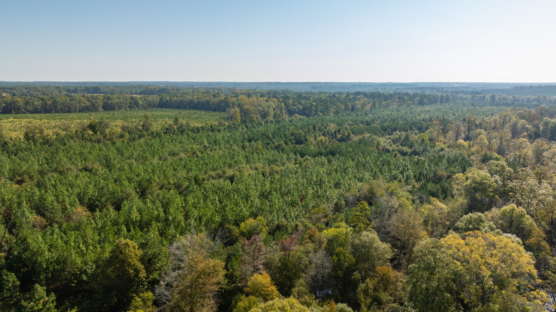 Image for The Hinson Farm – 191+/- Acres - Recreational Paradise with Income-Producing Potential in Dodge County, GA