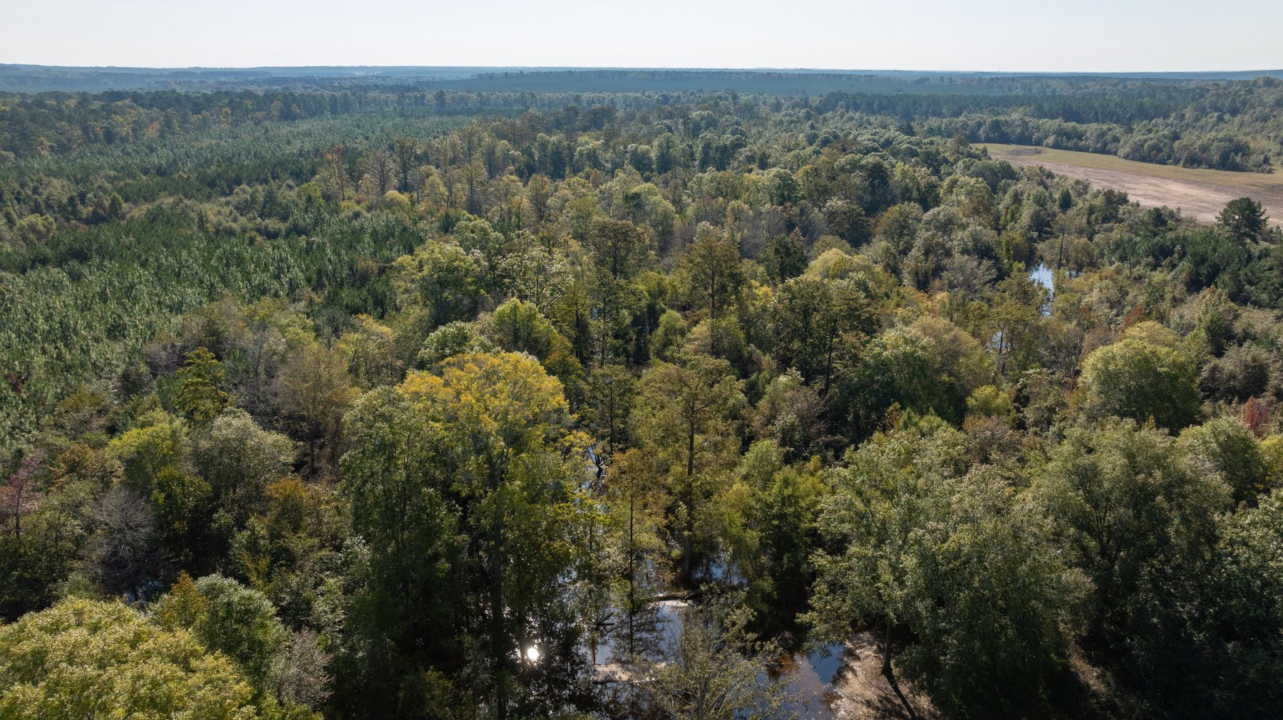 Image for The Hinson Farm – 191+/- Acres - Recreational Paradise with Income-Producing Potential in Dodge County, GA