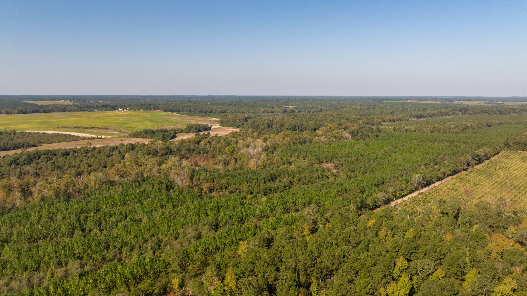 Image for The Hinson Farm – 191+/- Acres - Recreational Paradise with Income-Producing Potential in Dodge County, GA