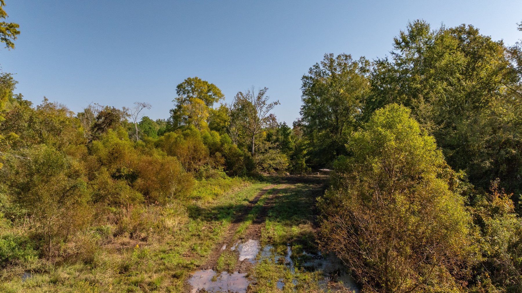 Image for The Hinson Farm – 191+/- Acres - Recreational Paradise with Income-Producing Potential in Dodge County, GA