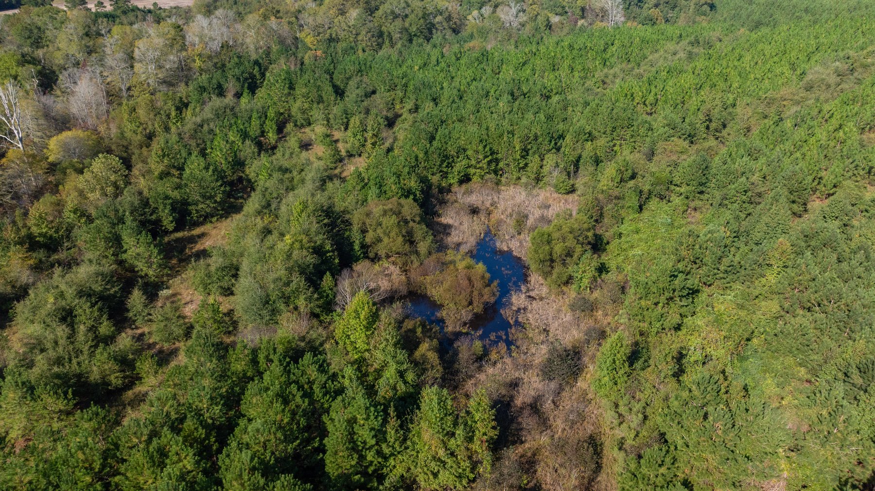 Image for The Hinson Farm – 191+/- Acres - Recreational Paradise with Income-Producing Potential in Dodge County, GA
