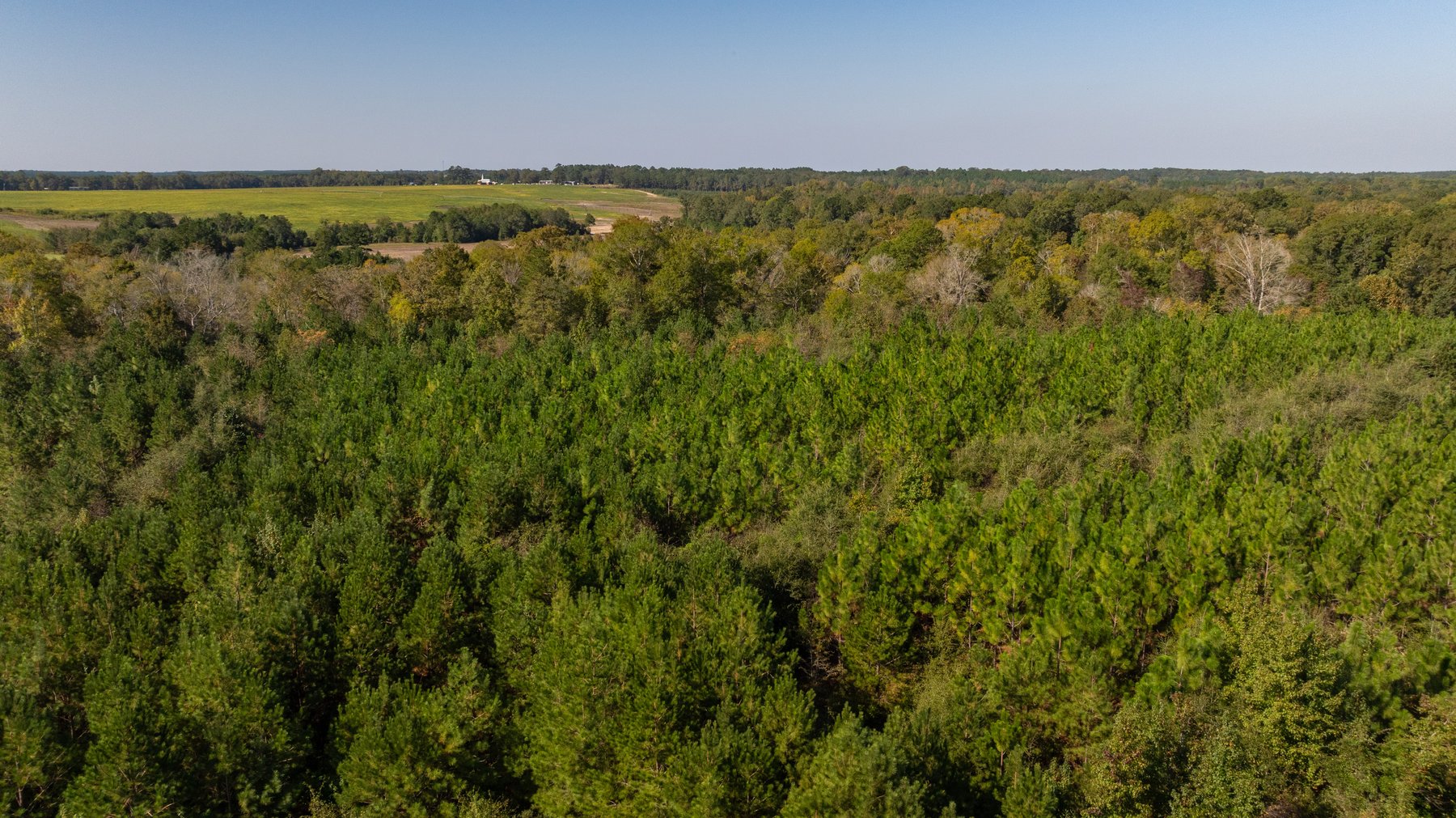 Image for The Hinson Farm – 191+/- Acres - Recreational Paradise with Income-Producing Potential in Dodge County, GA