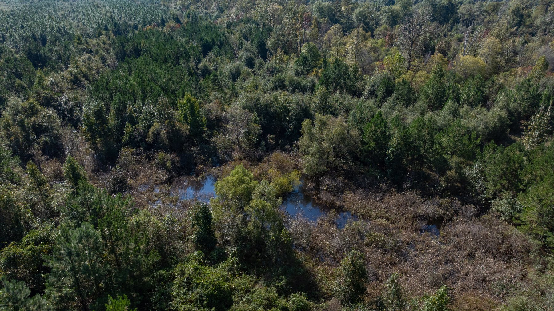 Image for The Hinson Farm – 191+/- Acres - Recreational Paradise with Income-Producing Potential in Dodge County, GA