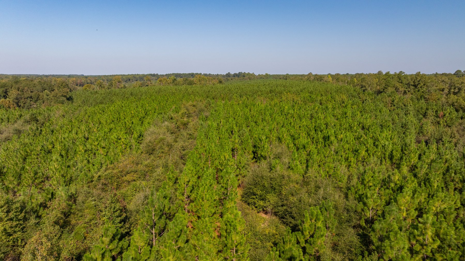 Image for The Hinson Farm – 191+/- Acres - Recreational Paradise with Income-Producing Potential in Dodge County, GA