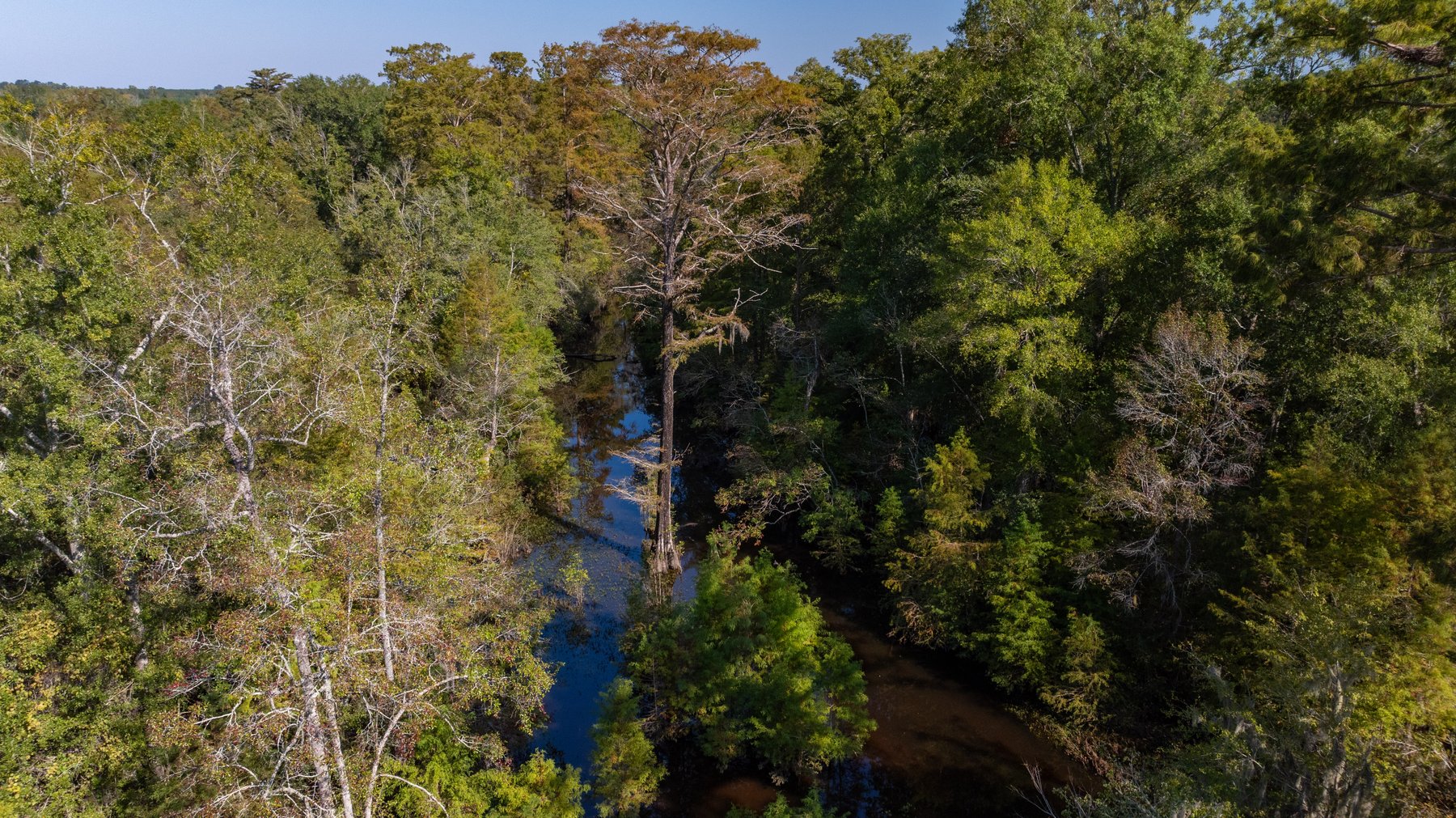 Image for The Hinson Farm – 191+/- Acres - Recreational Paradise with Income-Producing Potential in Dodge County, GA