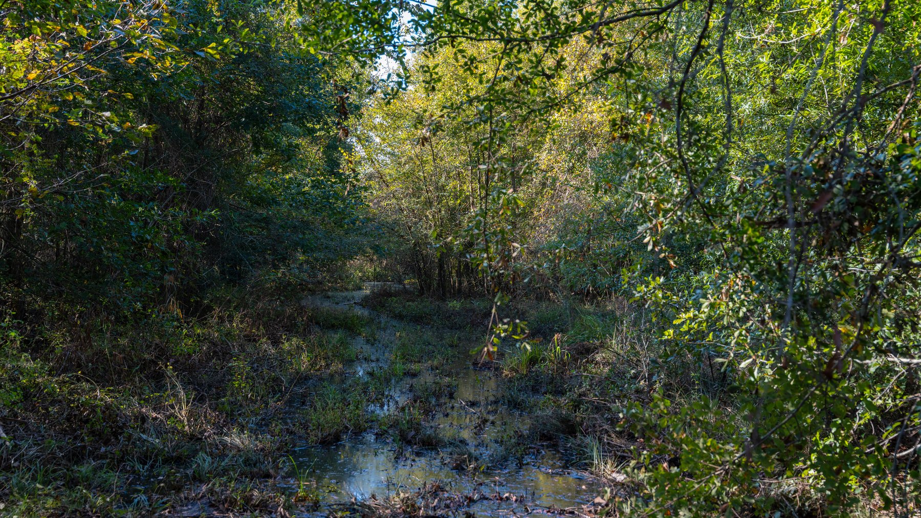 Image for The Hinson Farm – 191+/- Acres - Recreational Paradise with Income-Producing Potential in Dodge County, GA