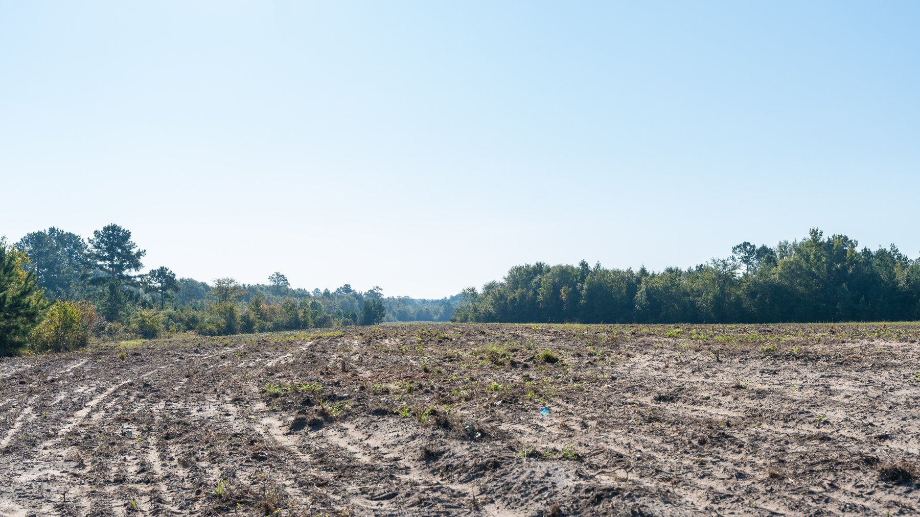 Image for The Hinson Farm – 191+/- Acres - Recreational Paradise with Income-Producing Potential in Dodge County, GA