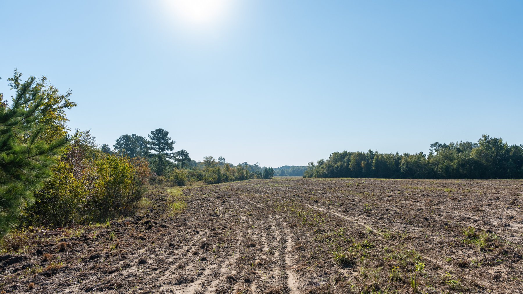 Image for The Hinson Farm – 191+/- Acres - Recreational Paradise with Income-Producing Potential in Dodge County, GA