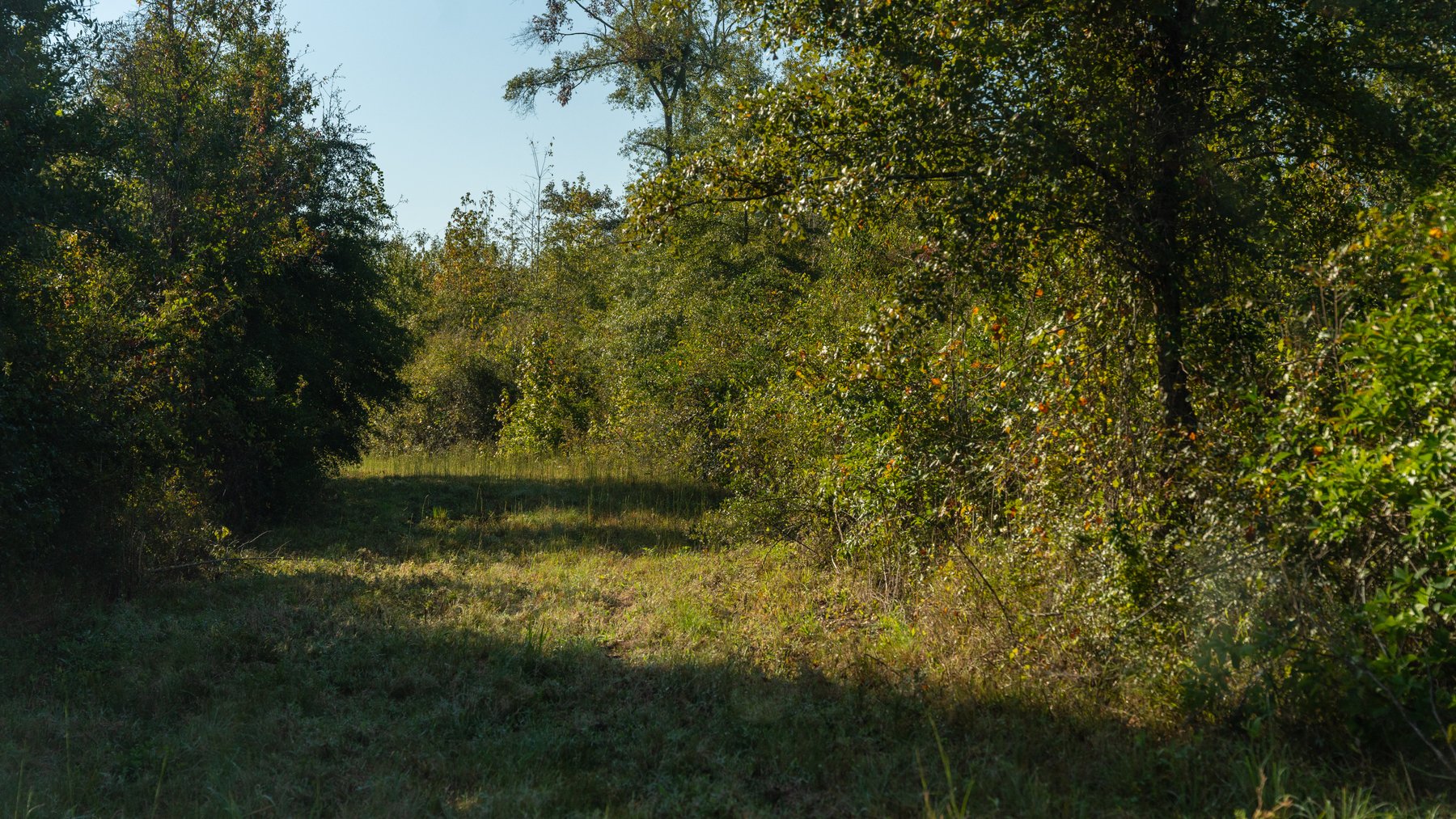 Image for The Hinson Farm – 191+/- Acres - Recreational Paradise with Income-Producing Potential in Dodge County, GA