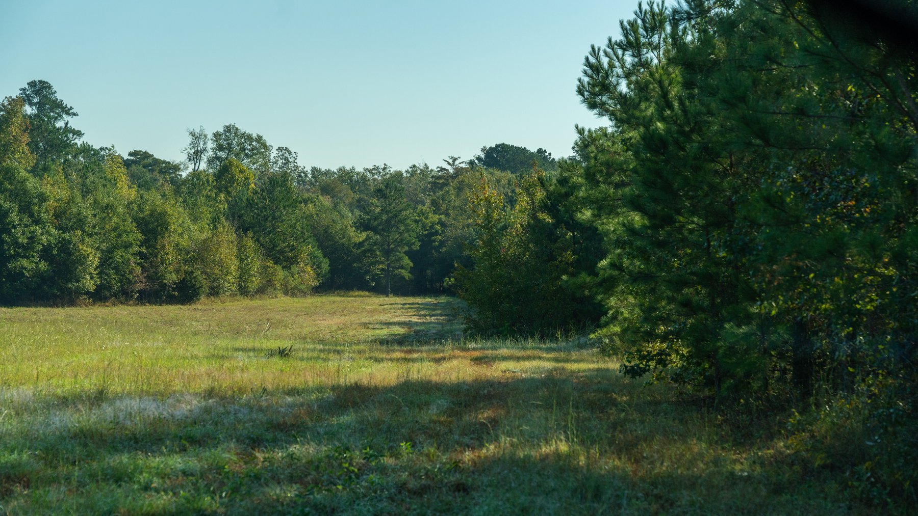 Image for The Hinson Farm – 191+/- Acres - Recreational Paradise with Income-Producing Potential in Dodge County, GA