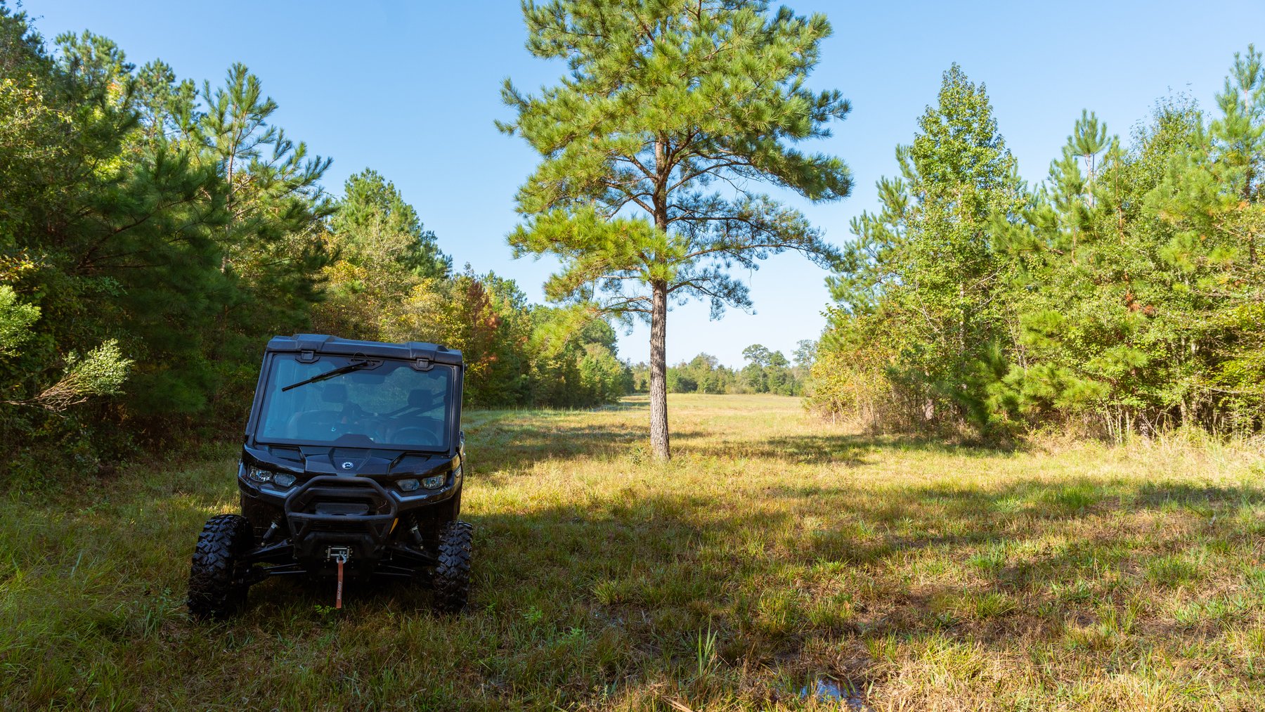 Image for The Hinson Farm – 191+/- Acres - Recreational Paradise with Income-Producing Potential in Dodge County, GA