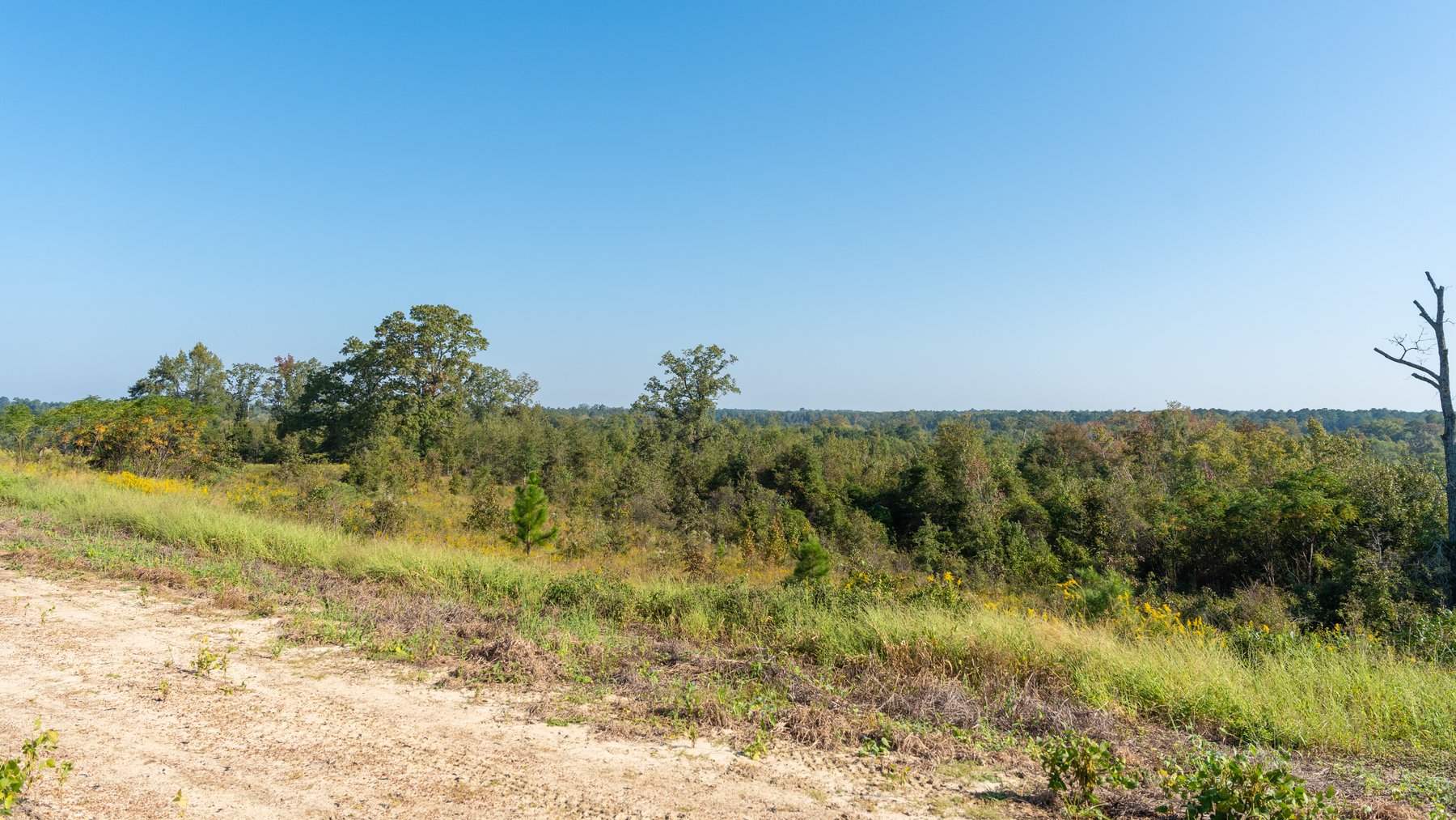 Image for The Hinson Farm – 191+/- Acres - Recreational Paradise with Income-Producing Potential in Dodge County, GA
