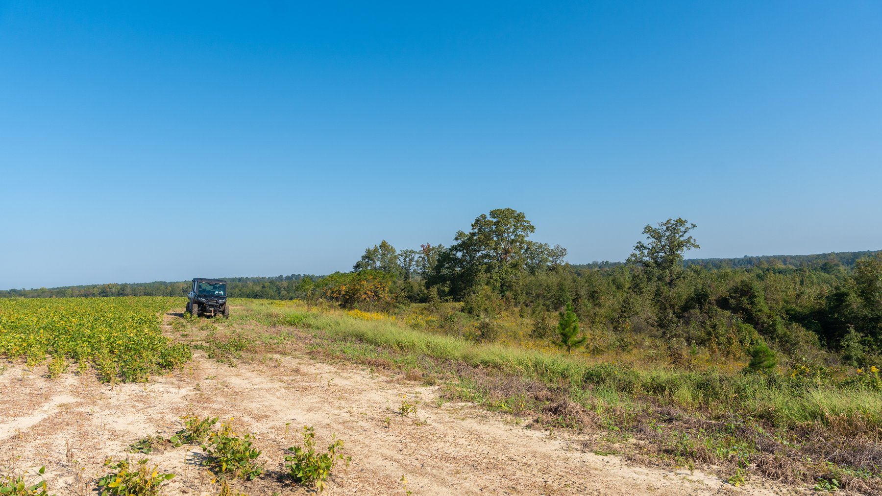Image for The Hinson Farm – 191+/- Acres - Recreational Paradise with Income-Producing Potential in Dodge County, GA