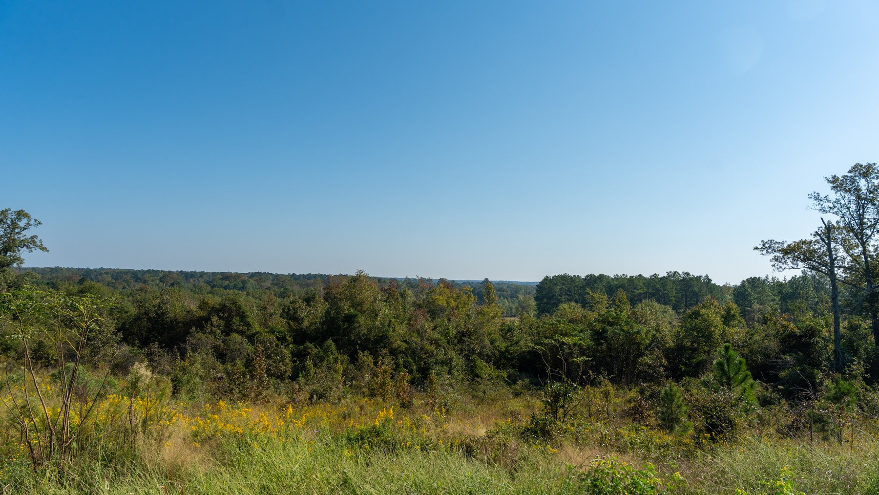 Image for The Hinson Farm – 191+/- Acres - Recreational Paradise with Income-Producing Potential in Dodge County, GA