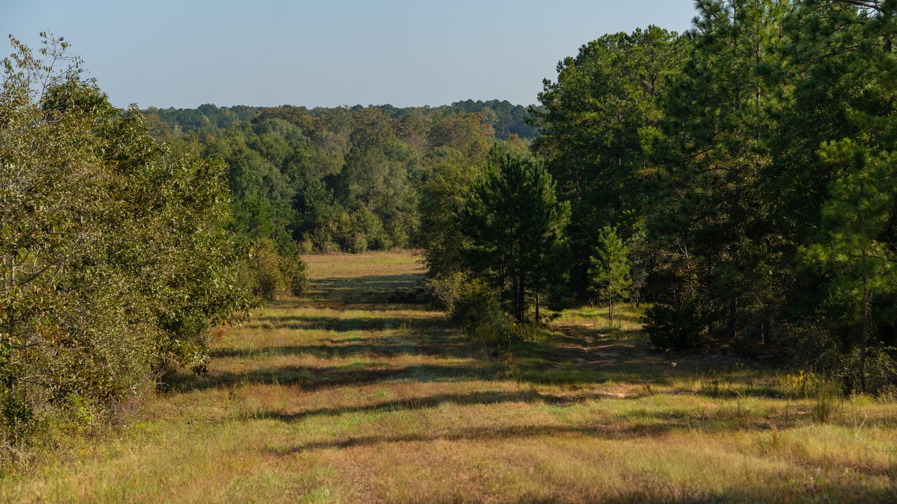 Image for The Hinson Farm – 191+/- Acres - Recreational Paradise with Income-Producing Potential in Dodge County, GA