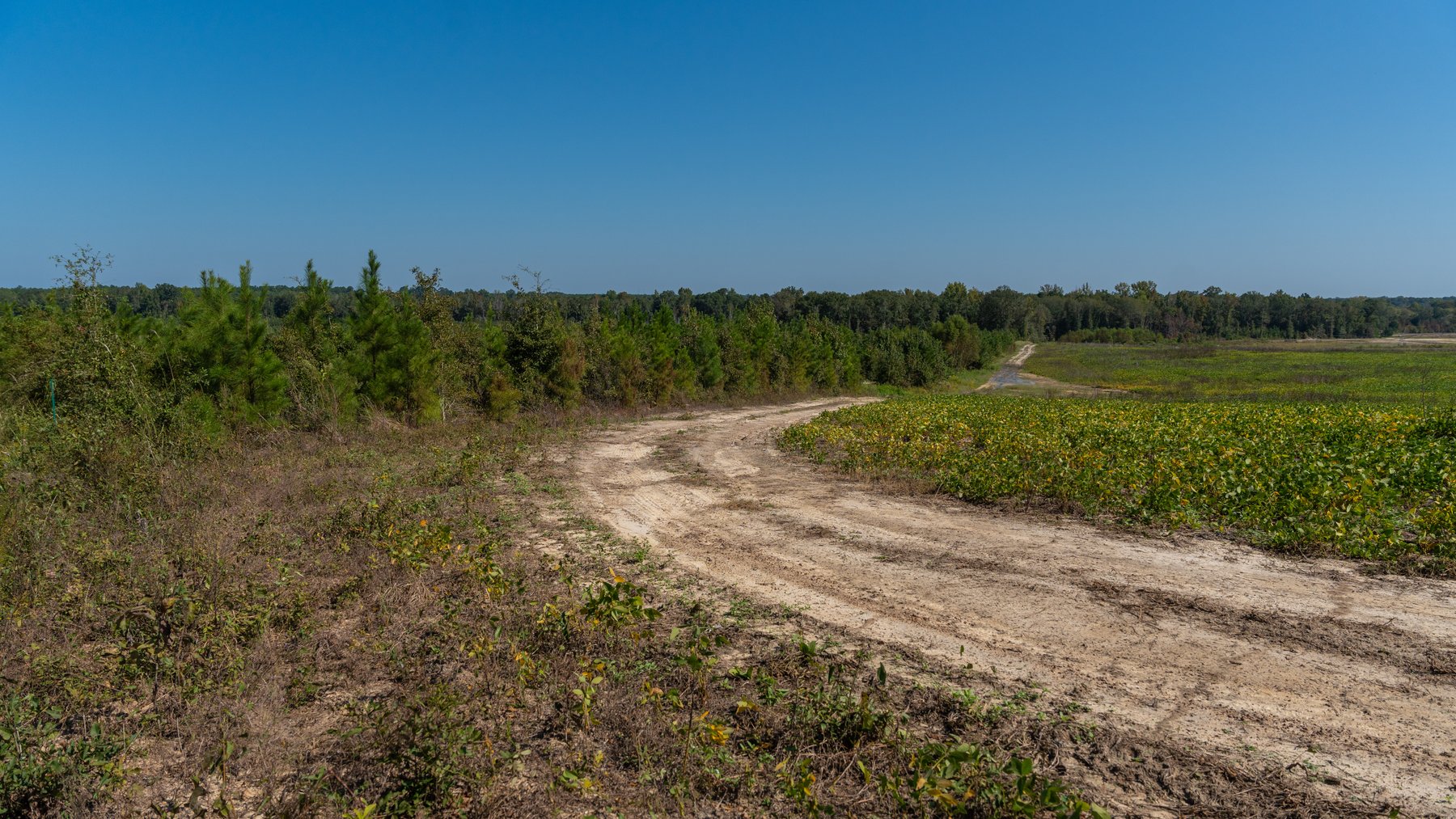 Image for The Hinson Farm – 191+/- Acres - Recreational Paradise with Income-Producing Potential in Dodge County, GA