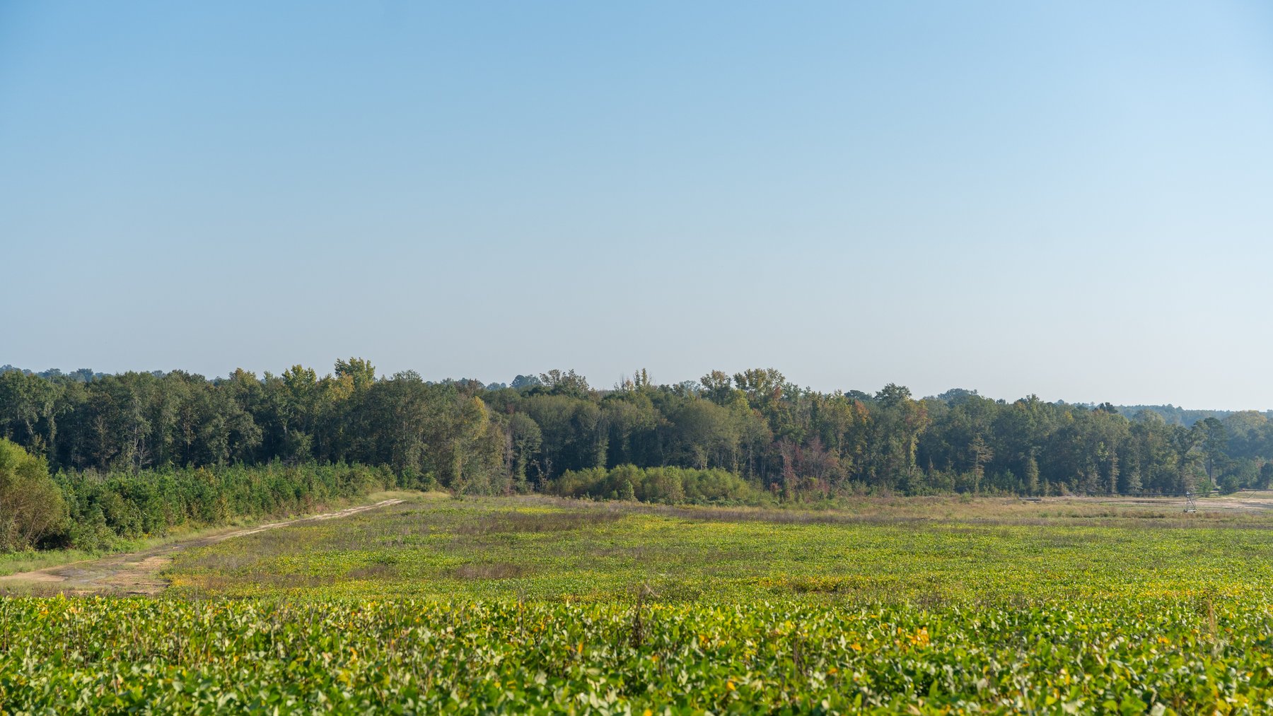 Image for The Hinson Farm – 191+/- Acres - Recreational Paradise with Income-Producing Potential in Dodge County, GA