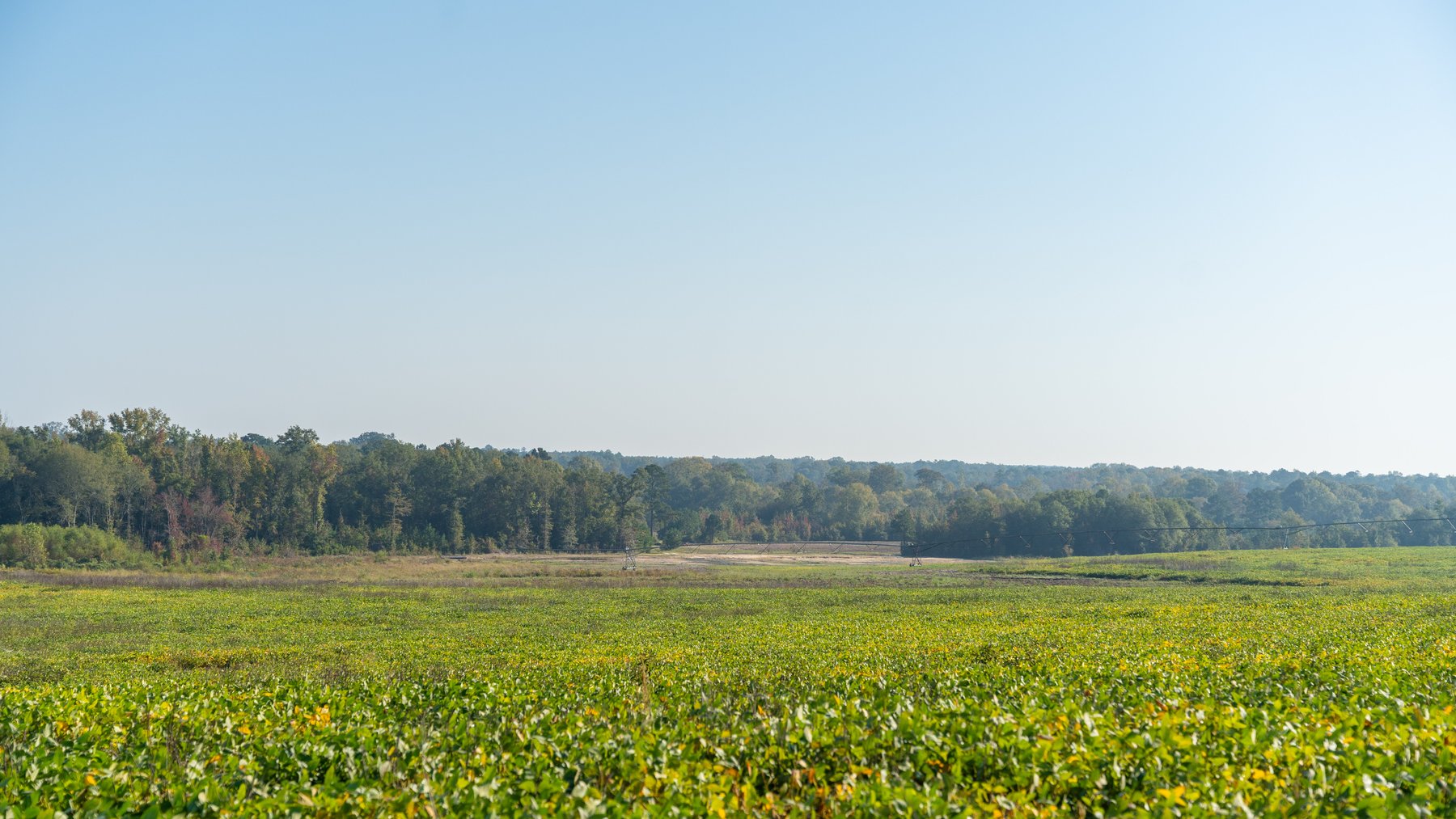 Image for The Hinson Farm – 191+/- Acres - Recreational Paradise with Income-Producing Potential in Dodge County, GA