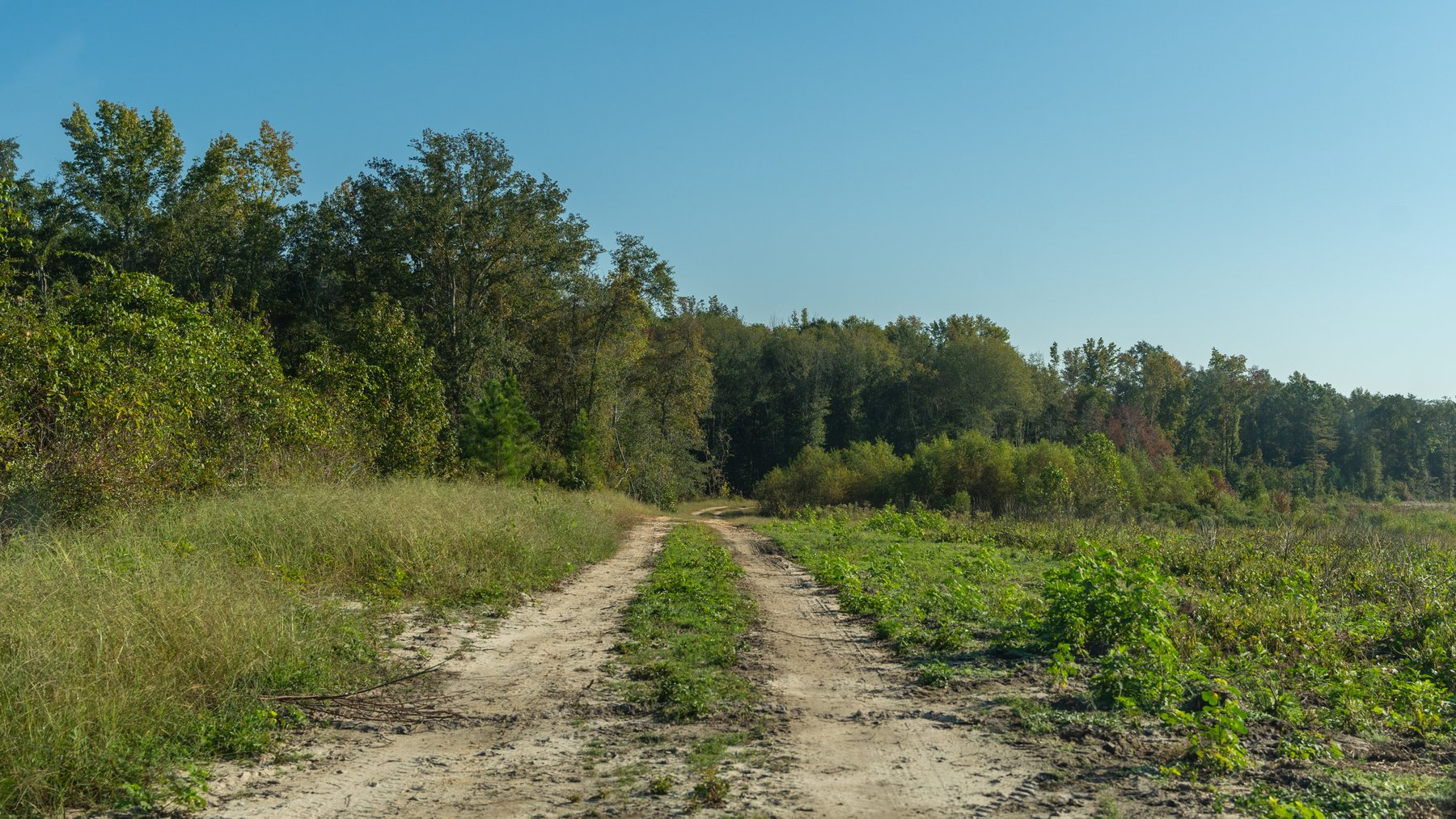 Image for The Hinson Farm – 191+/- Acres - Recreational Paradise with Income-Producing Potential in Dodge County, GA