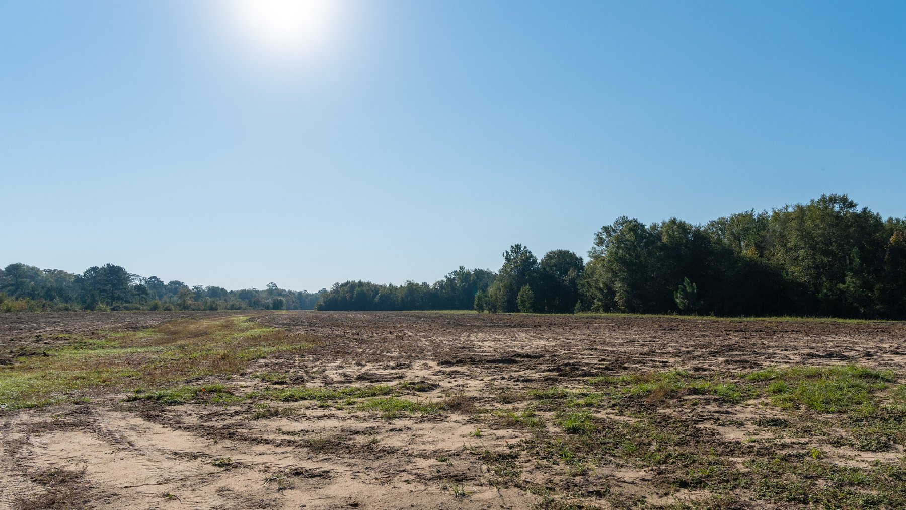 Image for The Hinson Farm – 191+/- Acres - Recreational Paradise with Income-Producing Potential in Dodge County, GA