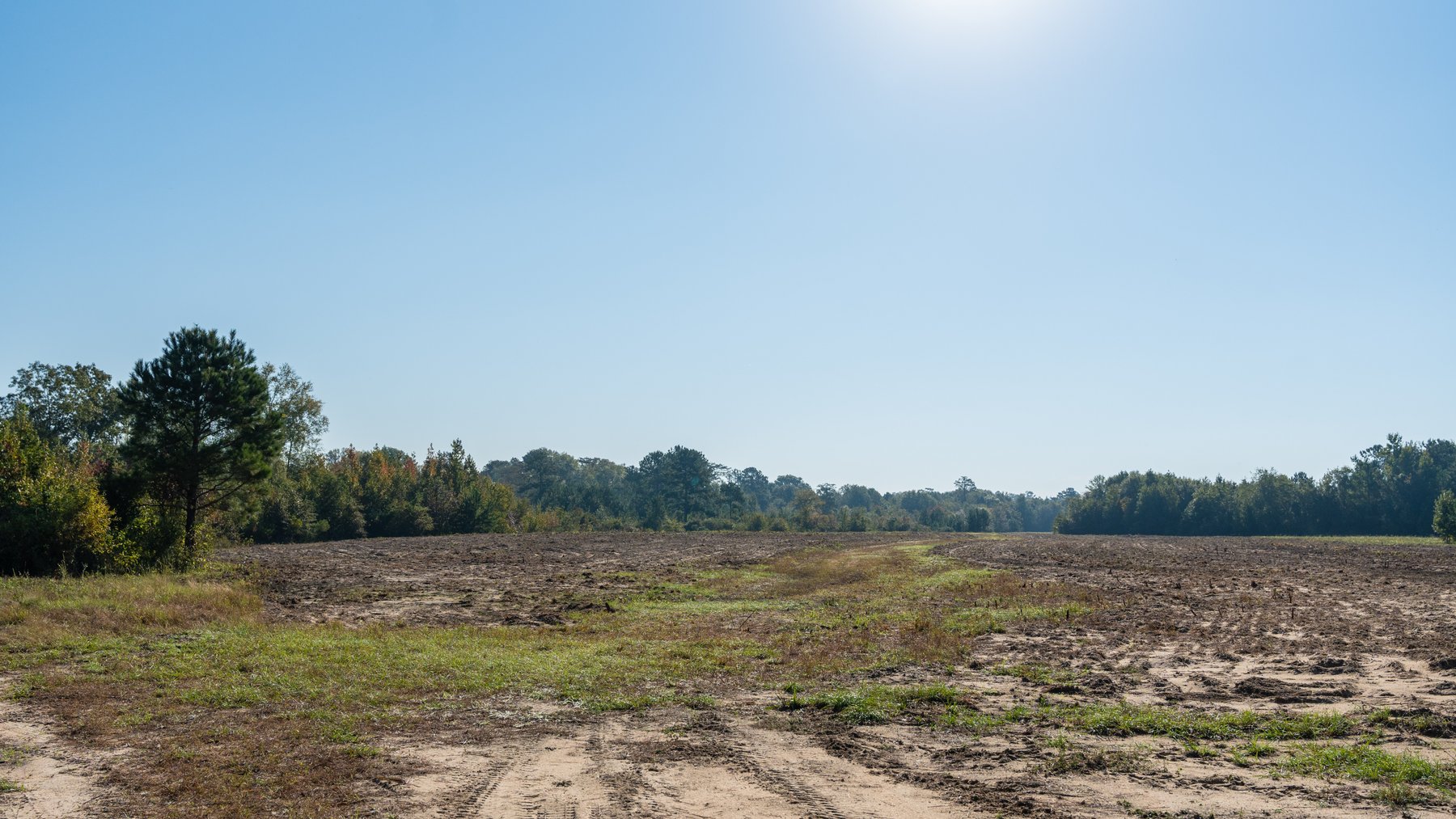 Image for The Hinson Farm – 191+/- Acres - Recreational Paradise with Income-Producing Potential in Dodge County, GA