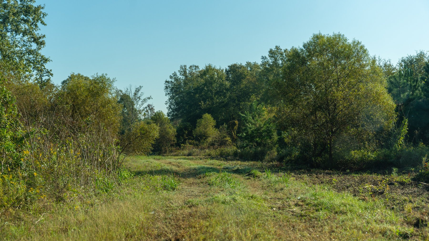 Image for The Hinson Farm – 191+/- Acres - Recreational Paradise with Income-Producing Potential in Dodge County, GA