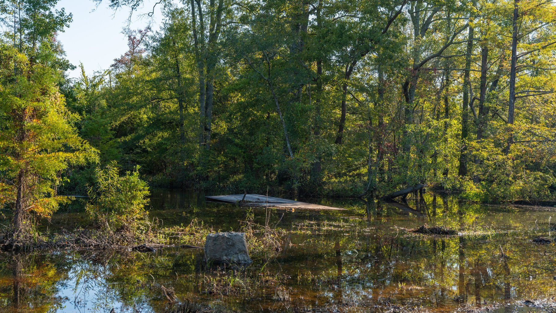 Image for The Hinson Farm – 191+/- Acres - Recreational Paradise with Income-Producing Potential in Dodge County, GA