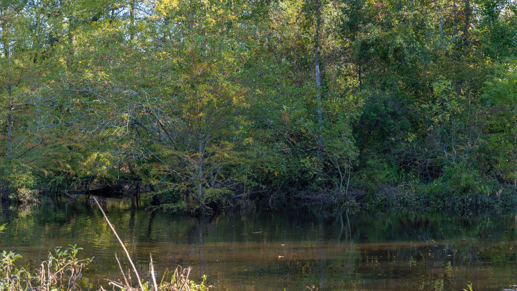 Image for The Hinson Farm – 191+/- Acres - Recreational Paradise with Income-Producing Potential in Dodge County, GA