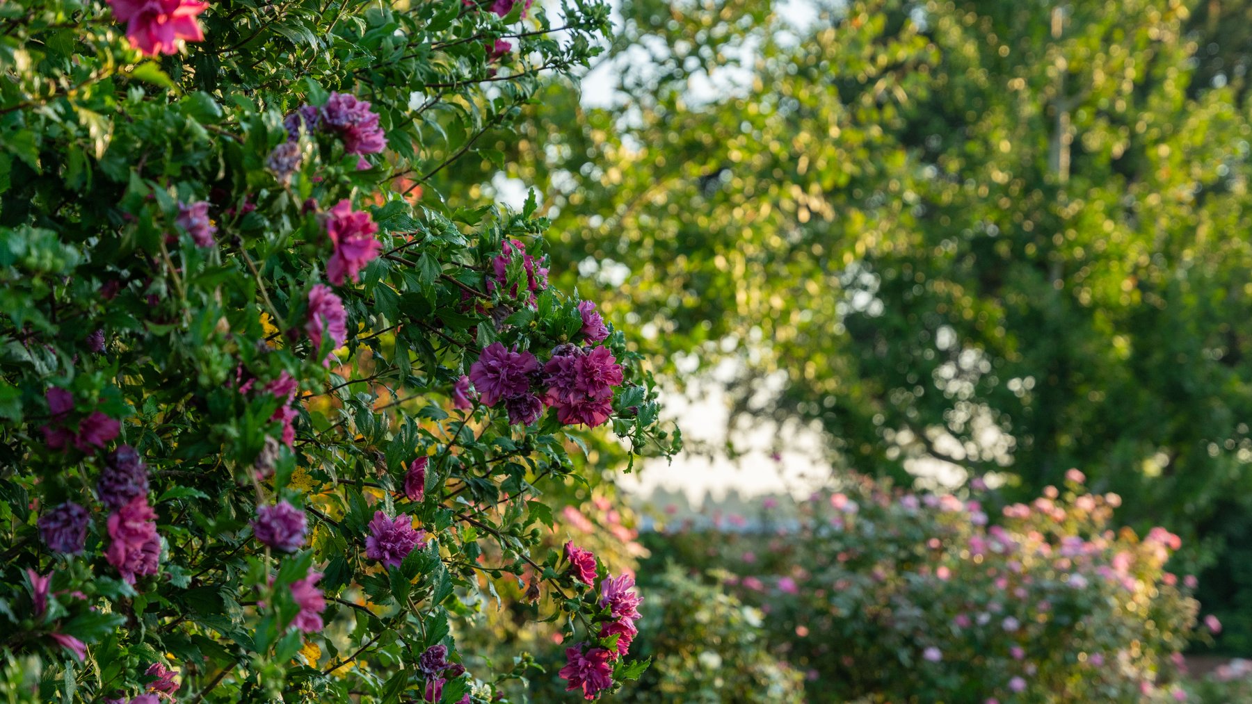 Image for The Massee Post Estate - 75+/- Acres with 6,700+/- Sq. Ft. Luxury Home in Cook County, Georgia