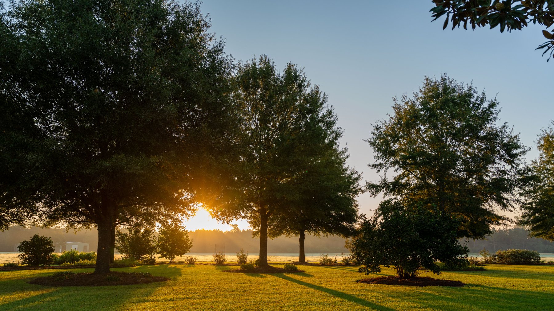 Image for The Massee Post Estate - 75+/- Acres with 6,700+/- Sq. Ft. Luxury Home in Cook County, Georgia