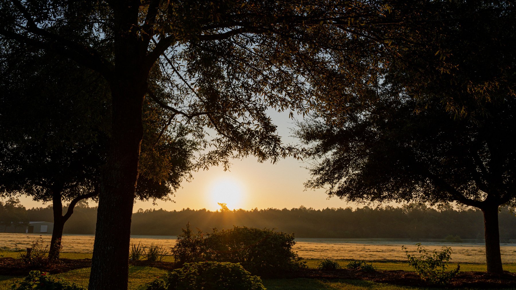 Image for The Massee Post Estate - 75+/- Acres with 6,700+/- Sq. Ft. Luxury Home in Cook County, Georgia