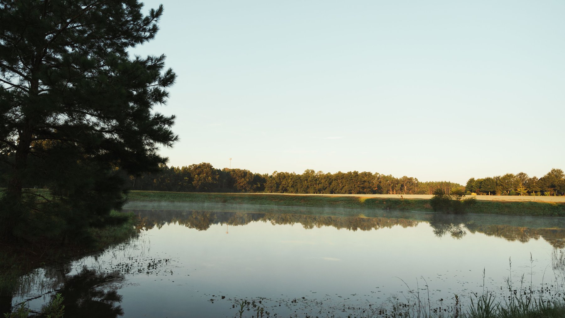 Image for The Massee Post Estate - 75+/- Acres with 6,700+/- Sq. Ft. Luxury Home in Cook County, Georgia