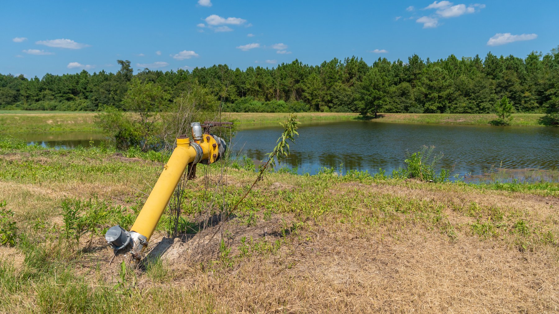 Image for The Massee Post Estate - 75+/- Acres with 6,700+/- Sq. Ft. Luxury Home in Cook County, Georgia