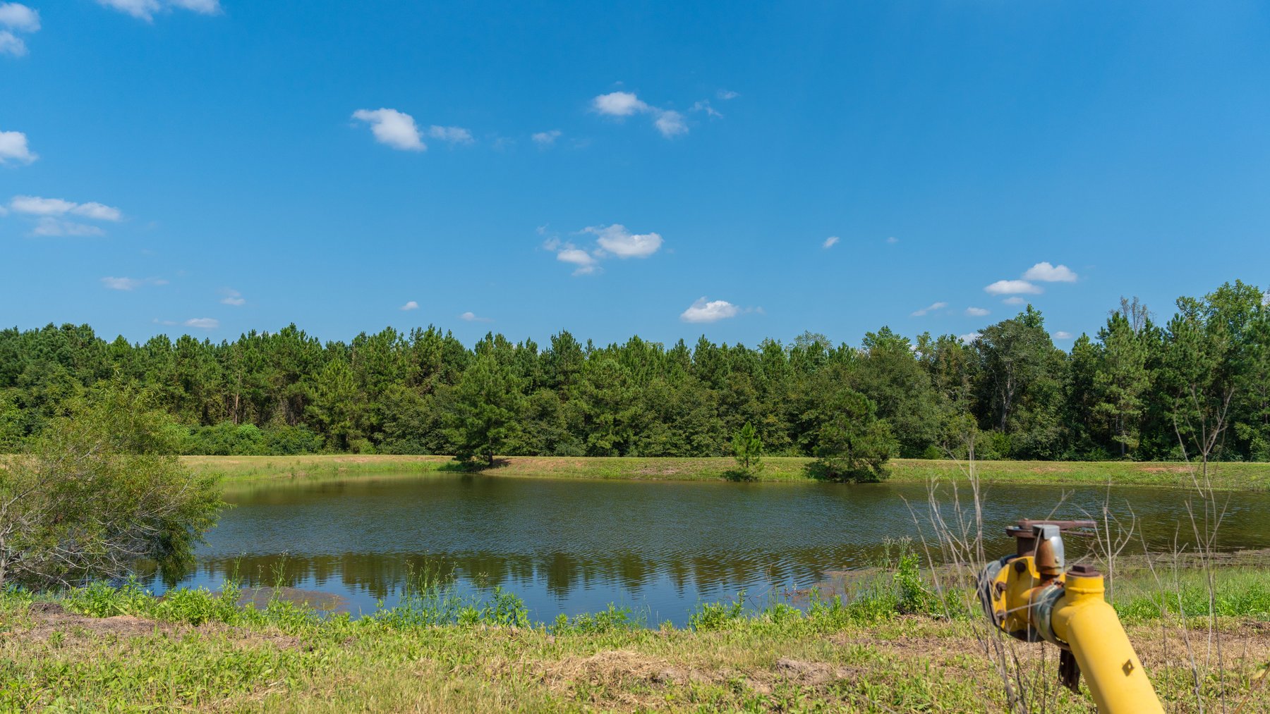 Image for The Massee Post Estate - 75+/- Acres with 6,700+/- Sq. Ft. Luxury Home in Cook County, Georgia