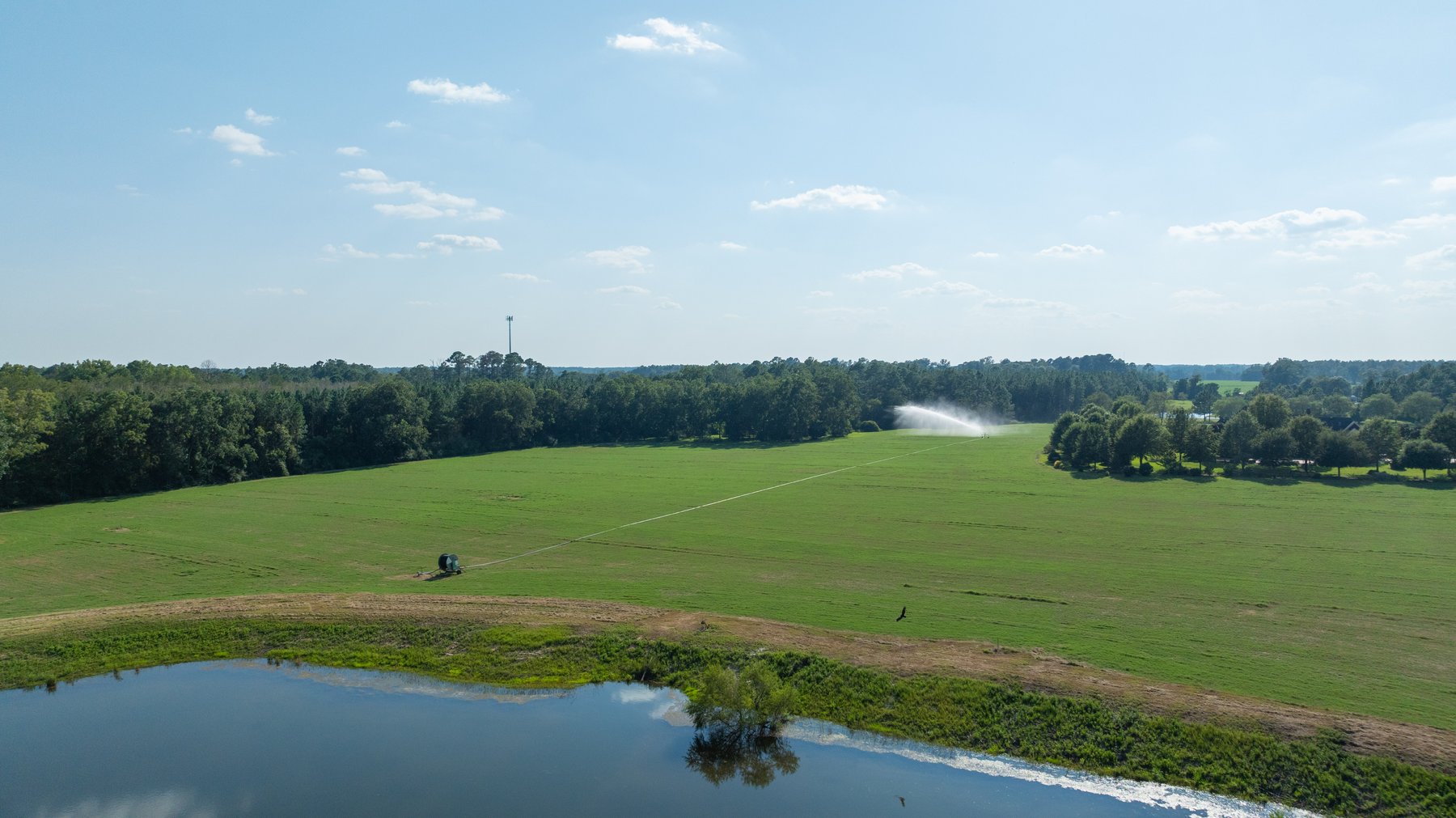 Image for The Massee Post Estate - 75+/- Acres with 6,700+/- Sq. Ft. Luxury Home in Cook County, Georgia